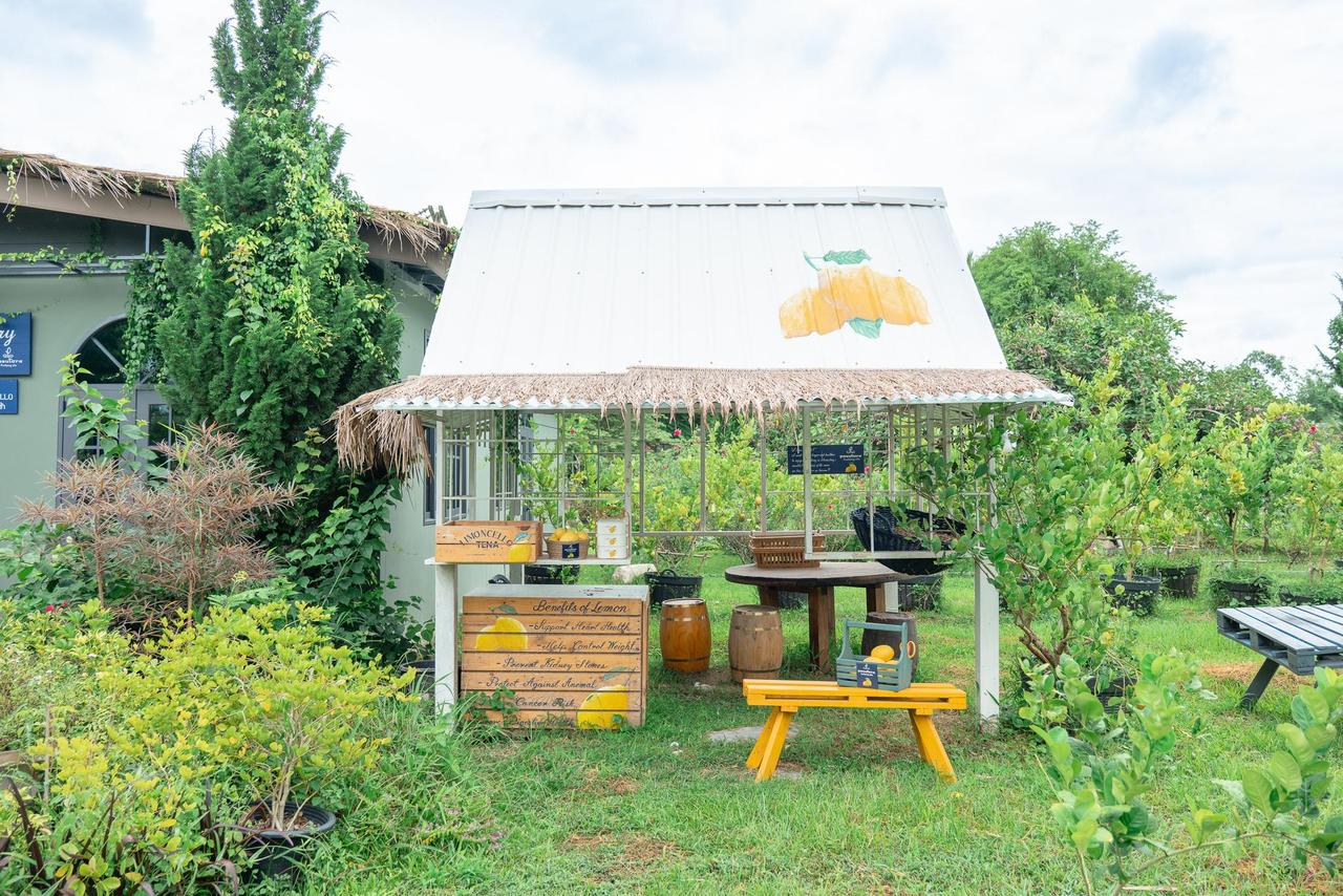 บรรยากาศบ้านสวนพสุธาราริมแม่น้ำภาชี